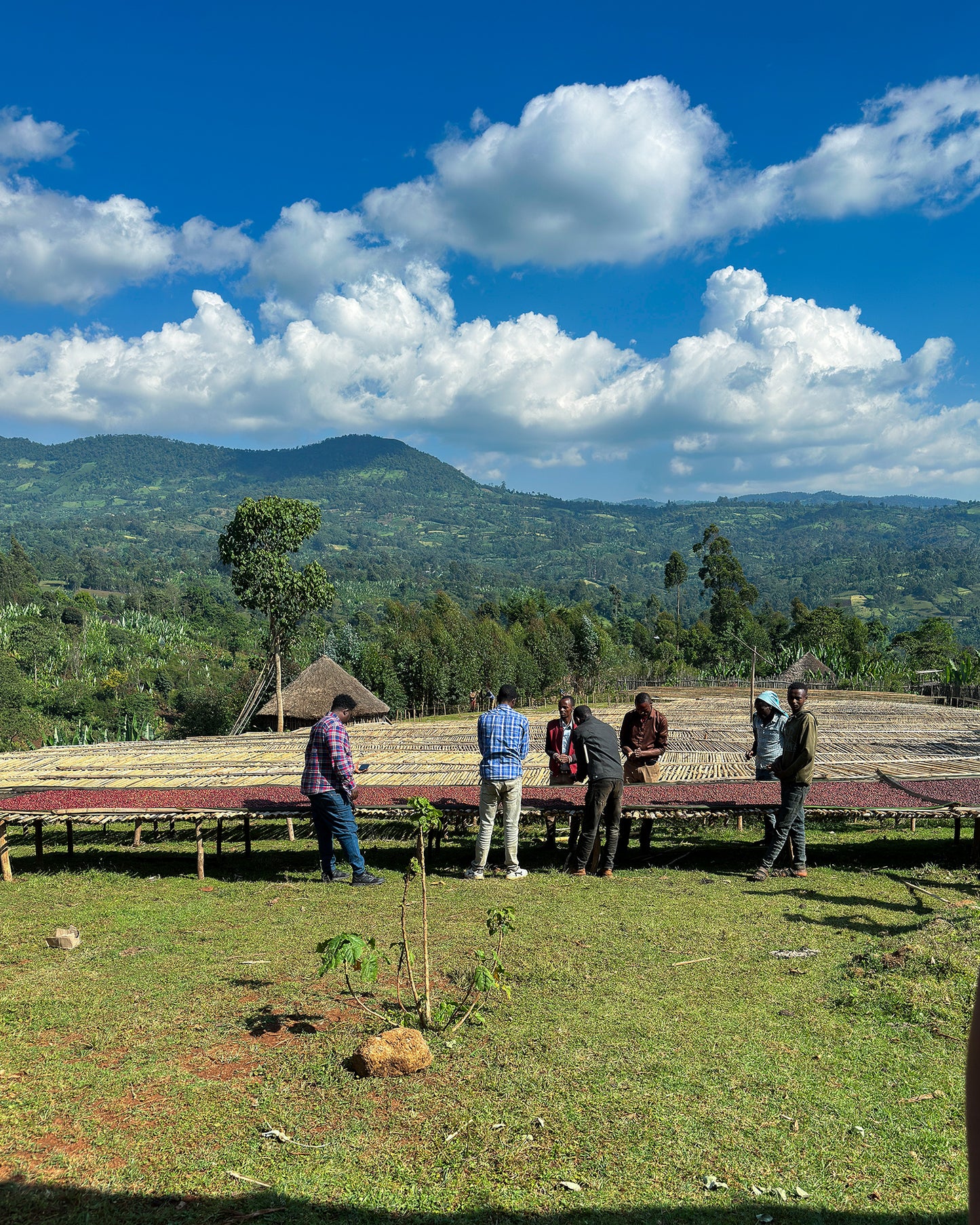 Ethiopia Bekele Kachara Murago